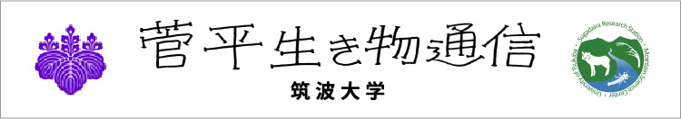 菅平生き物通信 筑波大学